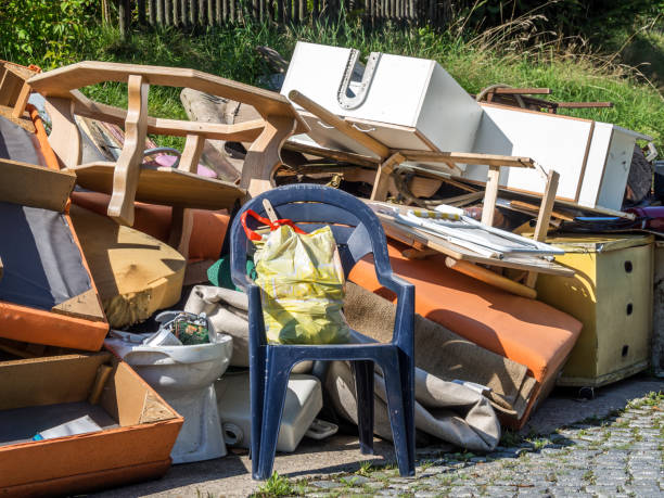 Best Junk Removal Near Me  in Carnesville, GA