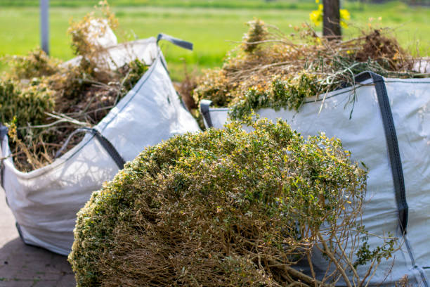 Best Trash Removal Near Me  in Carnesville, GA