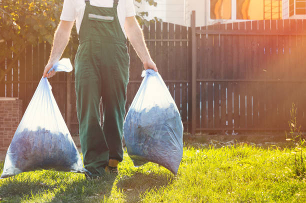 Professional Junk Removal in Carnesville, GA